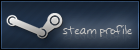 Steam Profile