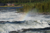 DSC_1124.JPG